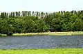 Kleindrebnitzer Teiche nahe Goldbach