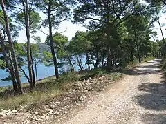 Fahrweg