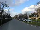 Eine asphaltierte, von zwei Autos befahrbare Straße in einem Wohnviertel mit sehr schmalem Gehweg rechts (etwa 1 Meter breit), beginnend mit einer leichten Kurve und einem dort aufgestellten Verkehrszeichen mit quadratischem weißen Schild oben, eine 20 in einem dickeren roten Kreis mit dem Wort „Zone“ darunter. Halteverbotsschild daneben, dahinter geparkte Autos quer zur Fahrbahn hinter Pfosten auf einer dünn begrünten Fläche (vermutlich Rasengittersteine) mit einer Betonkante mit aufgemalten Nummern vor den Autos. Links ist kein Gehweg, eine Hecke direkt neben dem Bordstein wirkt hier im Februar trist unter den Bäumen, ein anderes Bild zeigt, dass die Hecke im Frühjahr auch grün und hellgrün blühen kann. Weiter rechts hinter Bäumen ein hohes Gebäude.