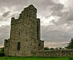 Termonfekin Castle
