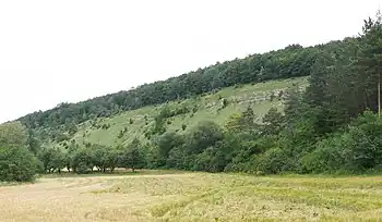 Stammberg