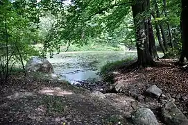 Felsenteich