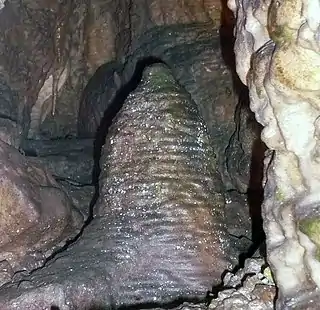 Bienenkorb