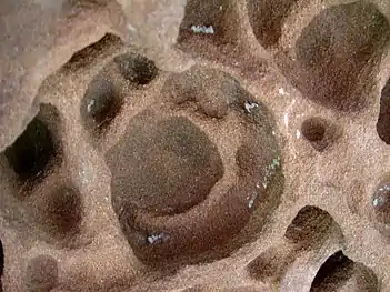 Auswaschungen