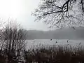 Briesensee
