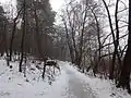 Südöstlicher Eingang am Tornowoer See