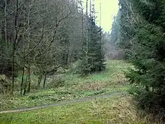 Thanngraben nahe Fröschau