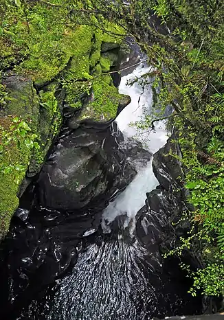 Blick auf eine Verengung des Cleddau River bei The Chasm