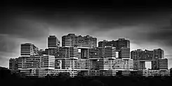 The Interlace