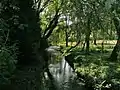 The Nant