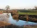 River Ure bei Aldborough