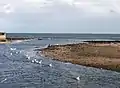 Mündung des Leven