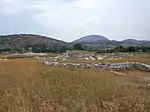 Doclea