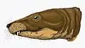Theriognathus