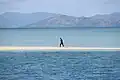 Sandbank bei Flut in der Inselgruppe Whitsunday Islands, Queensland