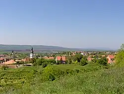 Тител
