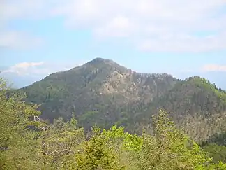 Tošč