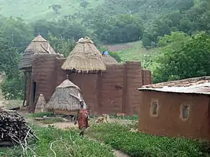 Ein Tammari-Haus mit Getreidespeichern. Die gegabelten Masten beim linken Getreidespeicher sind Leitern mit Stufen, die entlang ihrer Länge geschnitten wurden