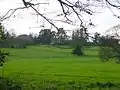 Torry Hill