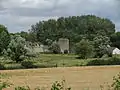 Burgruine