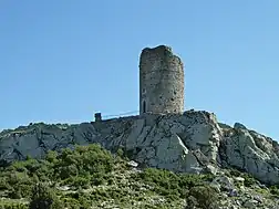Bild des Objektes