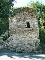 Burgruine