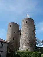 Türme des Château féodal