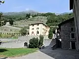 Weinberge in Traona