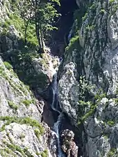 Der Traunursprung oberhalb des Kammersees
