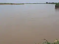 Blick über den Logone von Kamerun aus gesehen