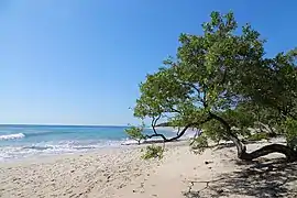 Playa Negra(Folgen 2–4)