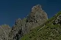 Westwand der Trettachspitze