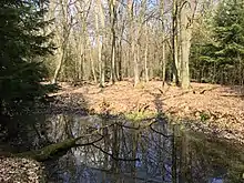Quelle bei Frohnsdorf