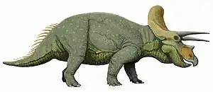 Triceratops