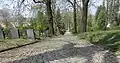 Hauptweg des Kirchhofs