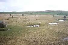 Trippet stones