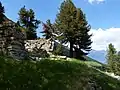 Ruine der zweiten Troppauer Hütte mit Oberer Laaser Alm im Hintergrund