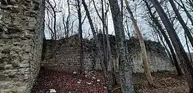 Palasruine von der Westseite