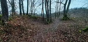 Osten der Kernburg: vermutlicher Standort des Bergfrieds