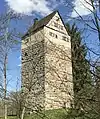 Turmhügelburg Leinroden