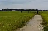 zwischen Baambrugge und Wilnis, Graben