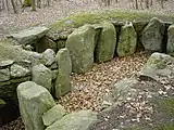 Tvedeskov – Kammer mit Gangmündung