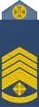 Головний майстер-сержант (Chief Master Sergeant)