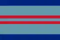Air Vice Marshal