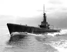 USS Archerfish