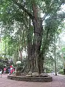 Eingangsbereich