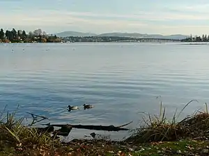 Die Union Bay von der Union Bay Natural Area aus mit Laurelhurst, der Evergreen Point Floating Bridge und dem Madison Park (v. l. n. r.) im Hintergrund