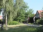 Unter den Birken
