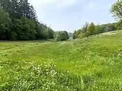 Unteres Feldbachtal