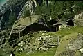 Ascham Alm in 1965